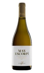 VB GRAMONA MAS ESCORPI 2021