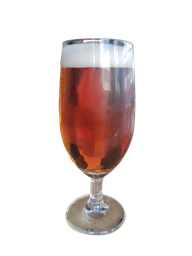 SM. COPA SANT MIQUEL SELECTA